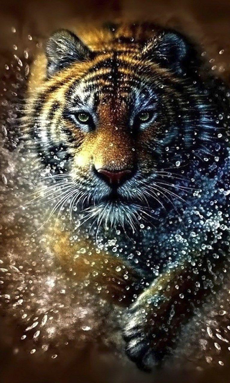 768x1280 Tiger HD Wallpaper Background for Windows 10 Mobile Phone Wallpaper