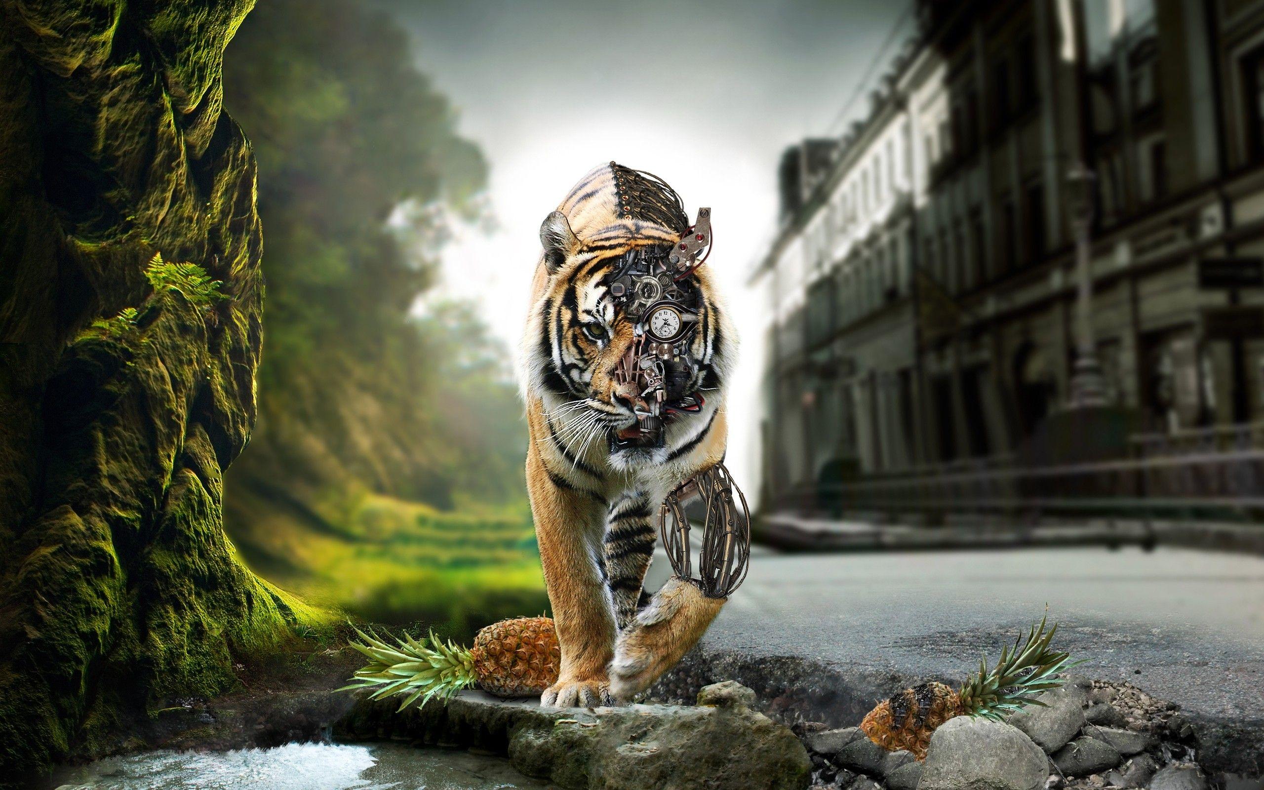 2560x1600 Best Wallpaper Tiger