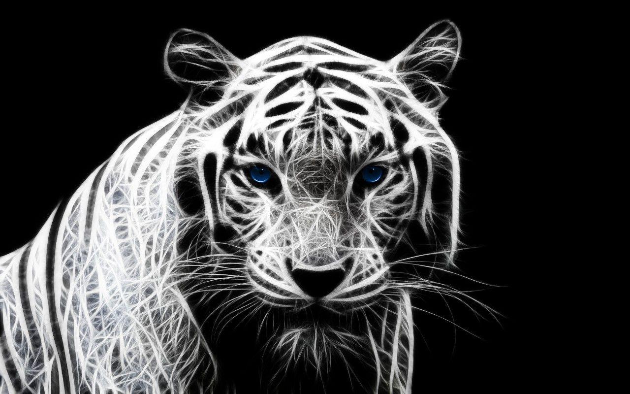 1280x800 Free download HD White Tiger Wallpaper HD Wallpaper [1280x800] for your Desktop, Mobile & Tablet. Explore White Tiger HD Wallpaper. White Tiger Wallpaper Widescreen, Wallpaper White Tiger, Beautiful White Tiger Wallpaper