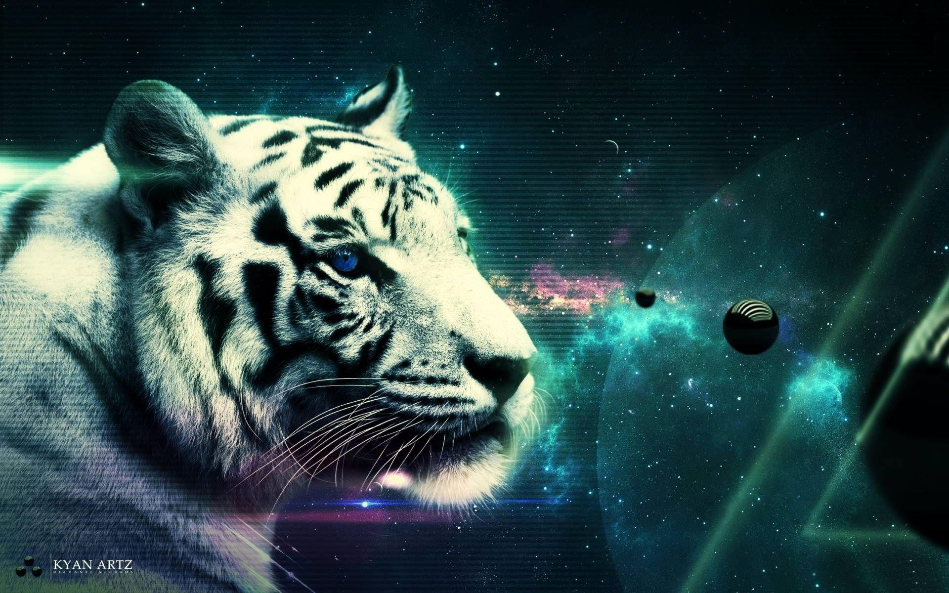 1920x1200 Cool Tiger Picture Wallpaper