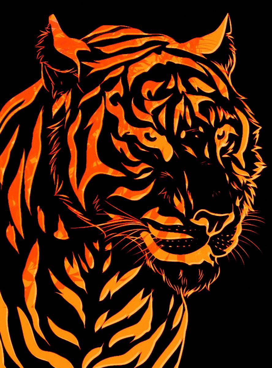 Beautiful Abstract Tiger Wallpapers - Top Free Beautiful Abstract Tiger ...