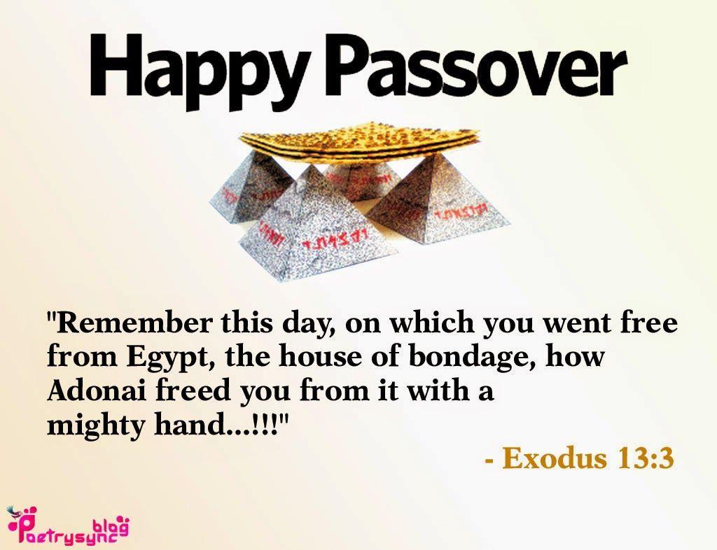 Passover Wallpapers - Top Free Passover Backgrounds - WallpaperAccess