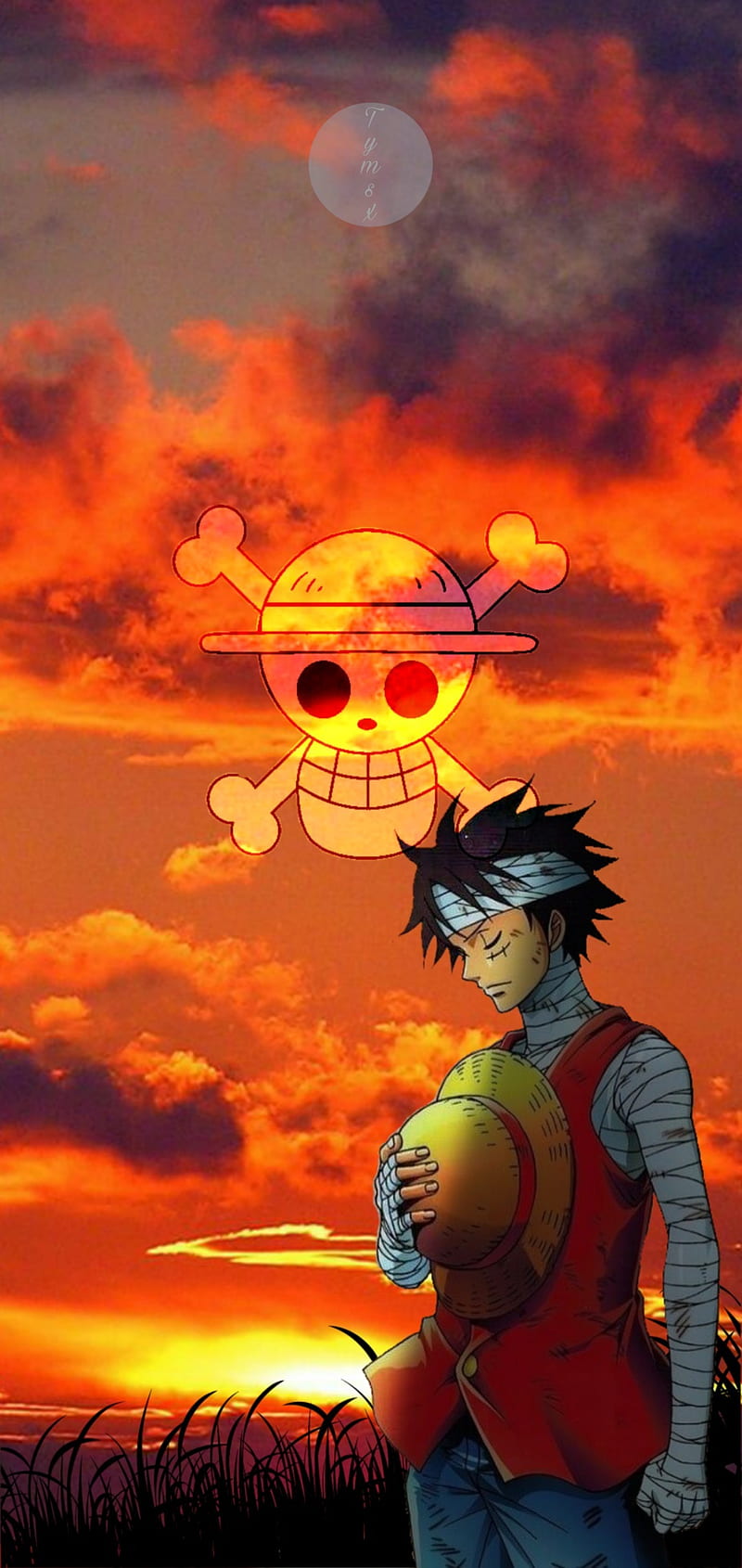 800x1690 Luffy One Piece, anime, manga, one piece, op, pirates, zoro, HD phone wallpaper