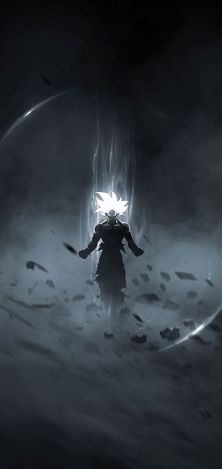 736x1553 Phone HD Anime Wallpaper