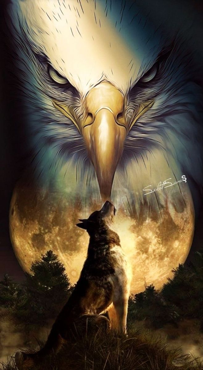 658x1200 Captivating Portraits of American Indian Culture and Art. Powerful eagle image, Half wolf half eagle, Eagle