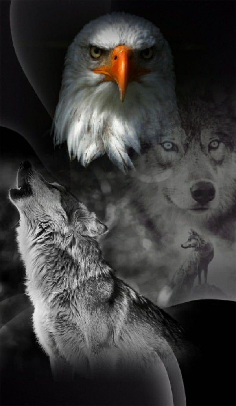 800x1377 HD eagle and indian wallpaper