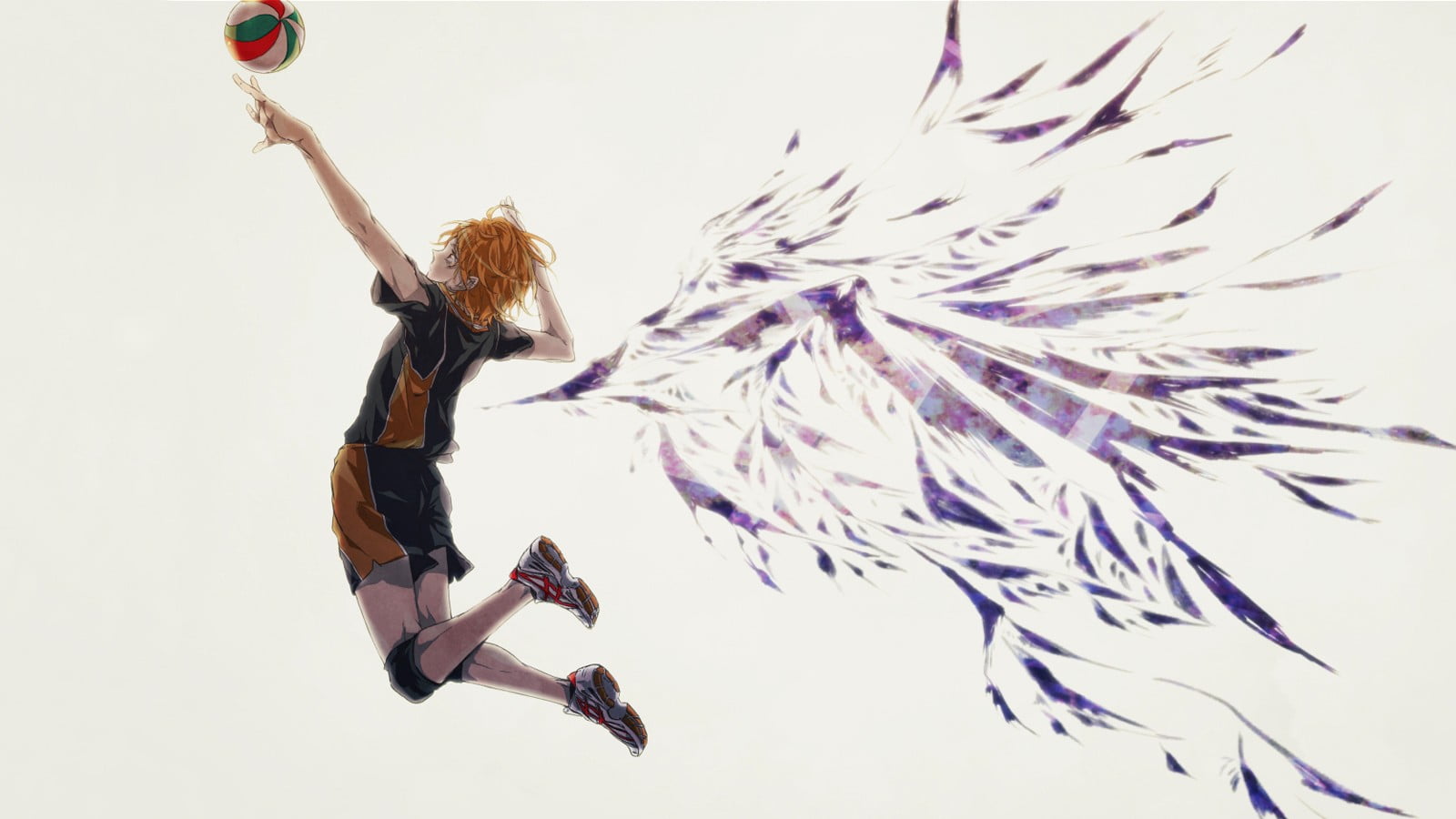 1600x900 Hinata Shoyo, Haikyuu, Haikyuu!! HD wallpaper