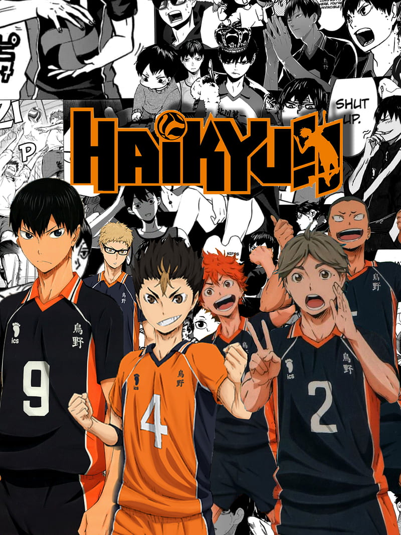 800x1067 Haikyuu, HD phone wallpaper