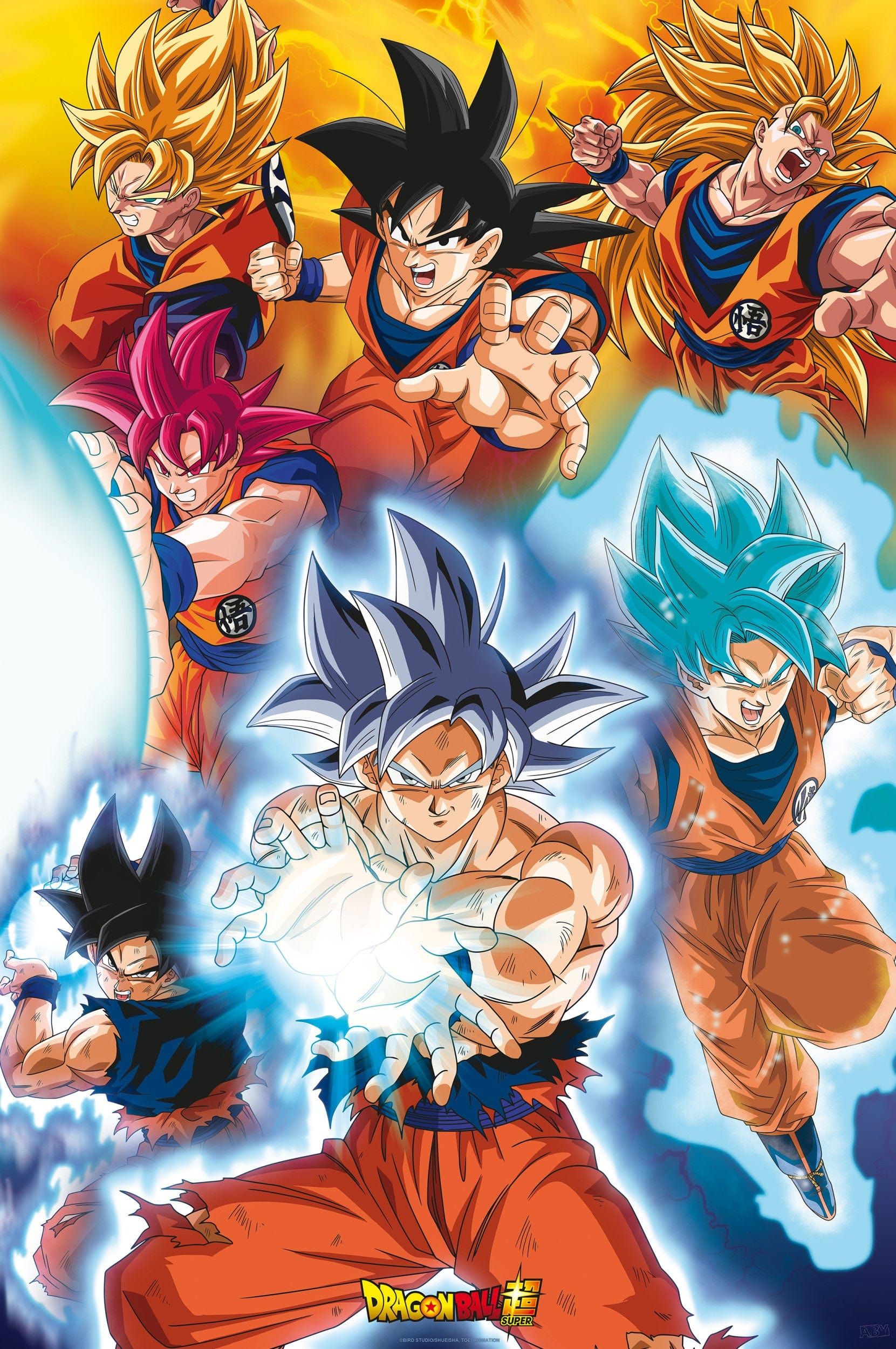 1661x2500 Poster Dragon Ball Super Gokus transformations 61x 5cm
