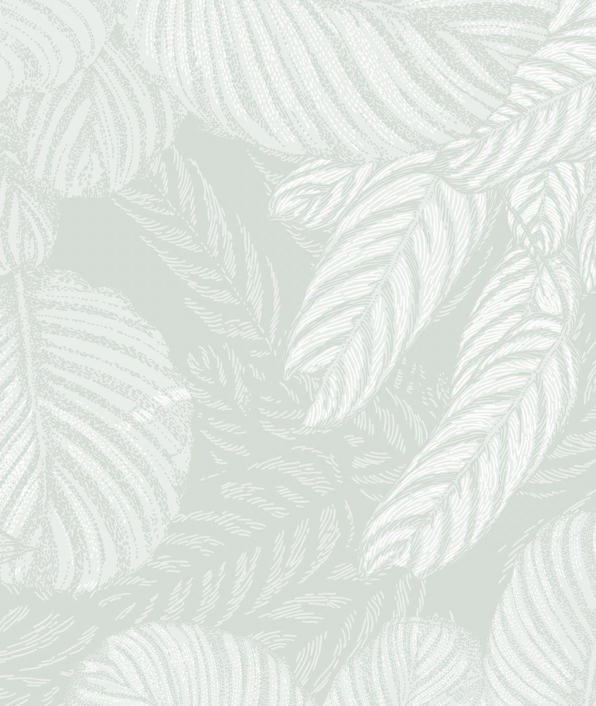 Sage Green Wallpapers Top Free Sage Green Backgrounds WallpaperAccess