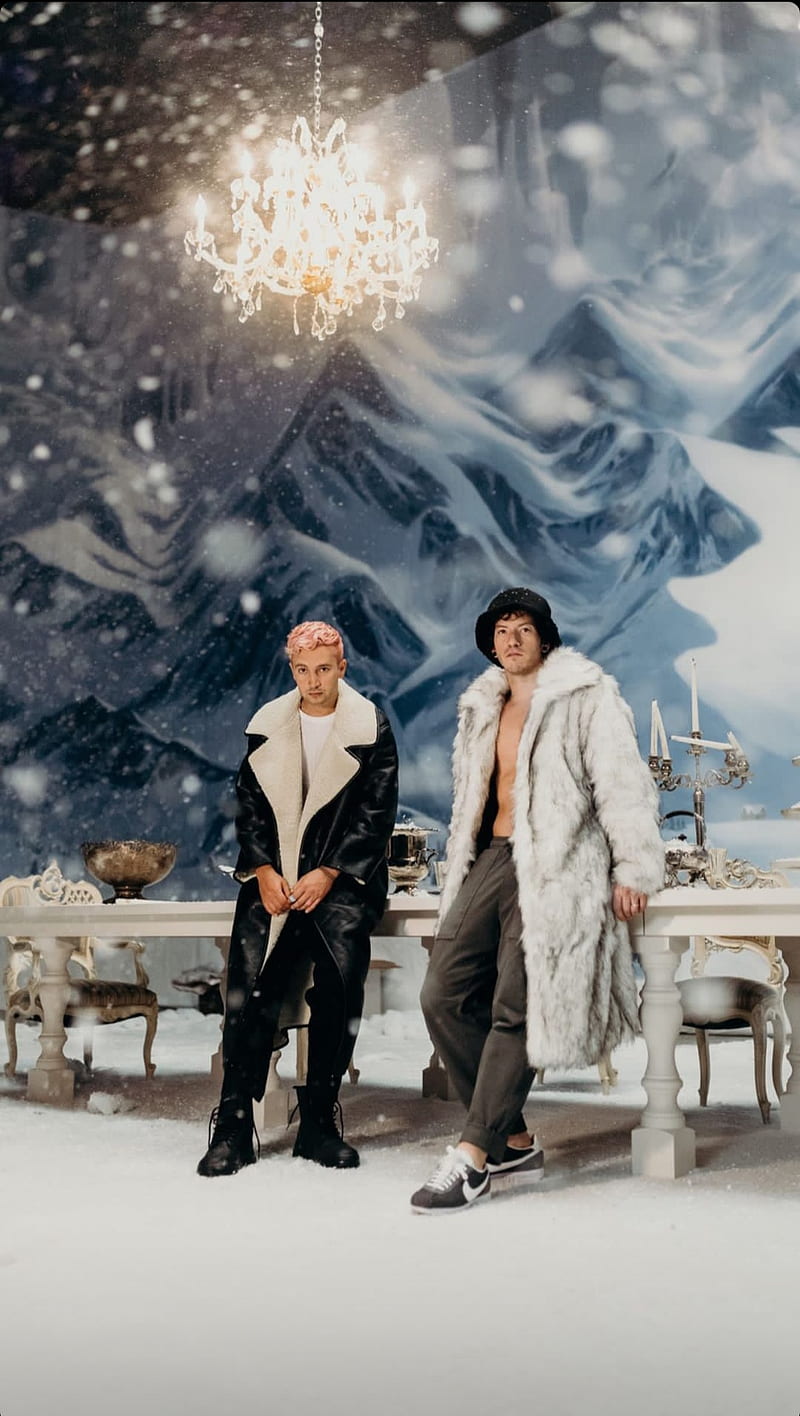 800x1416 Twenty One Pilots, josh dun, scaled and icy, tyler jhosep, HD phone wallpaper