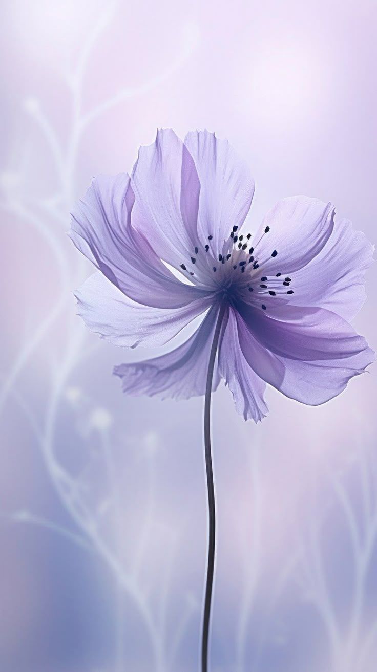 736x1313 Download premium image of Purple flower background blossom nature purple. by Narathorn about iphone wallpaper lavender, pink shade wallpaper background wallpaper, iphone wallpaper violets flower, flower iphone wallpaper, and iphone wallpaper 14048269