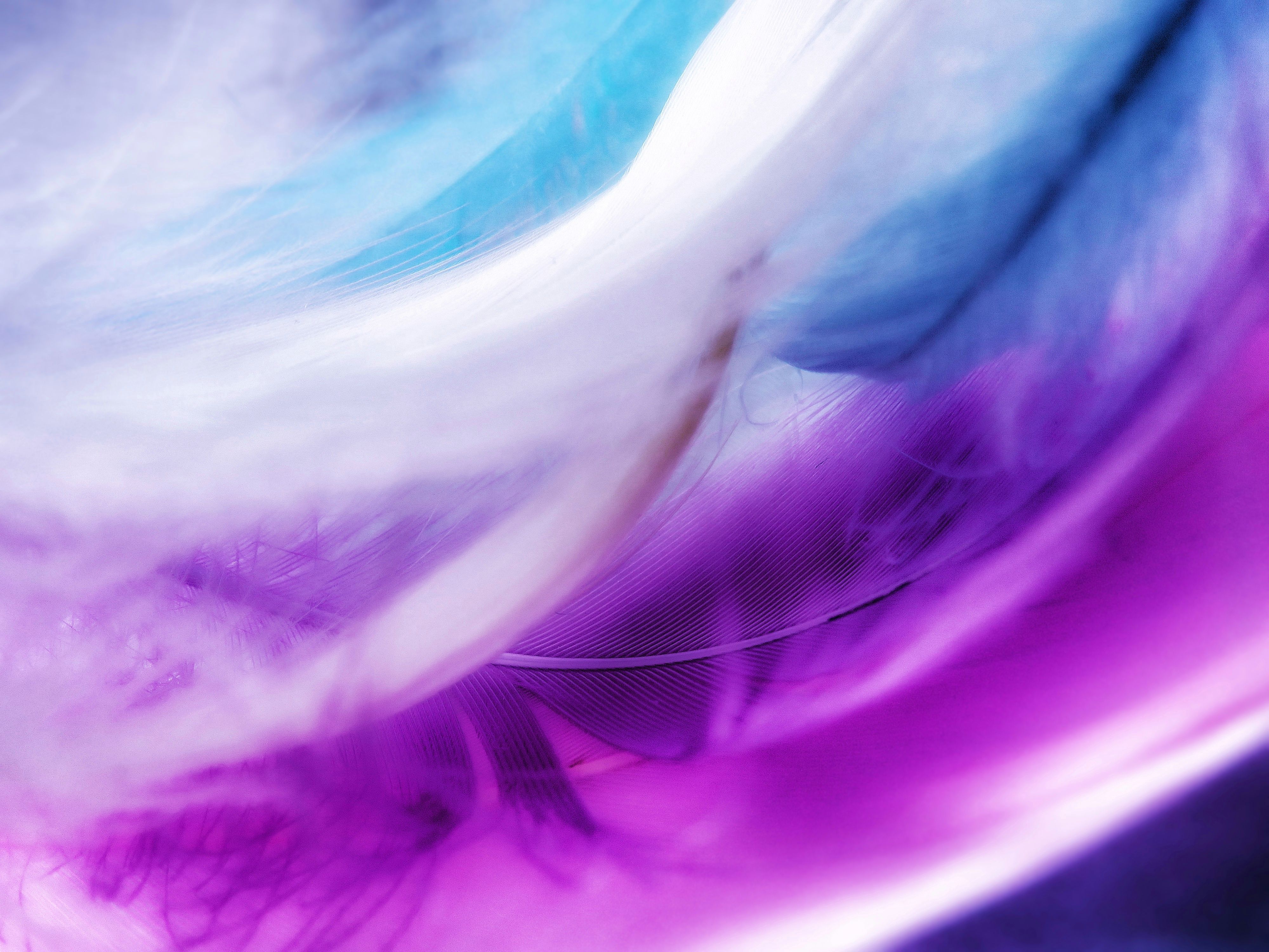 4000x3000 Blue and Purple Art Wallpaper · Free
