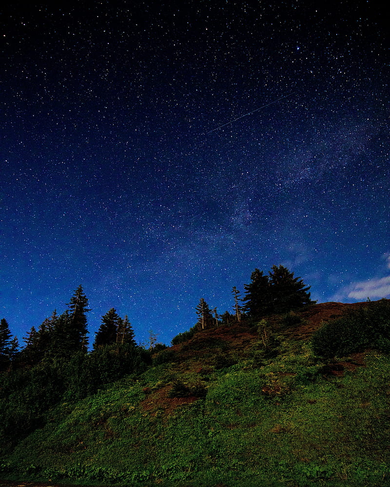 800x999 Hill, trees, starry sky, stars, night, dark, HD phone wallpaper