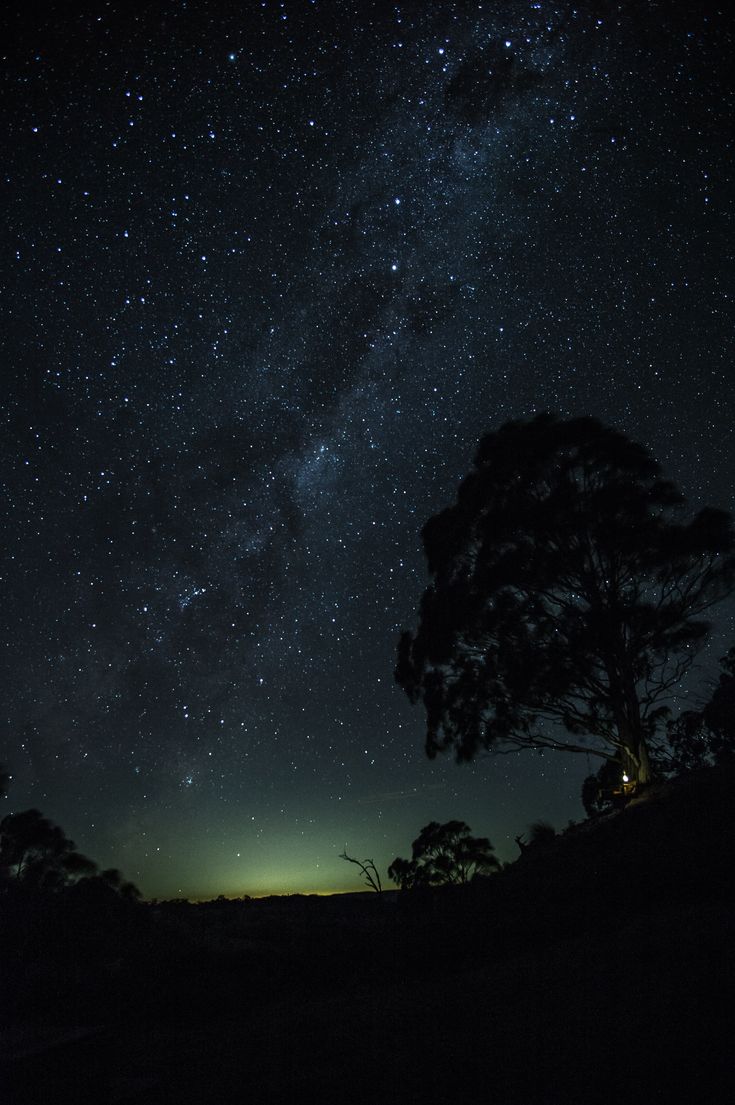 735x1105 HD wallpaper: silhouette of tree, starry sky, hill, horizon, night, star