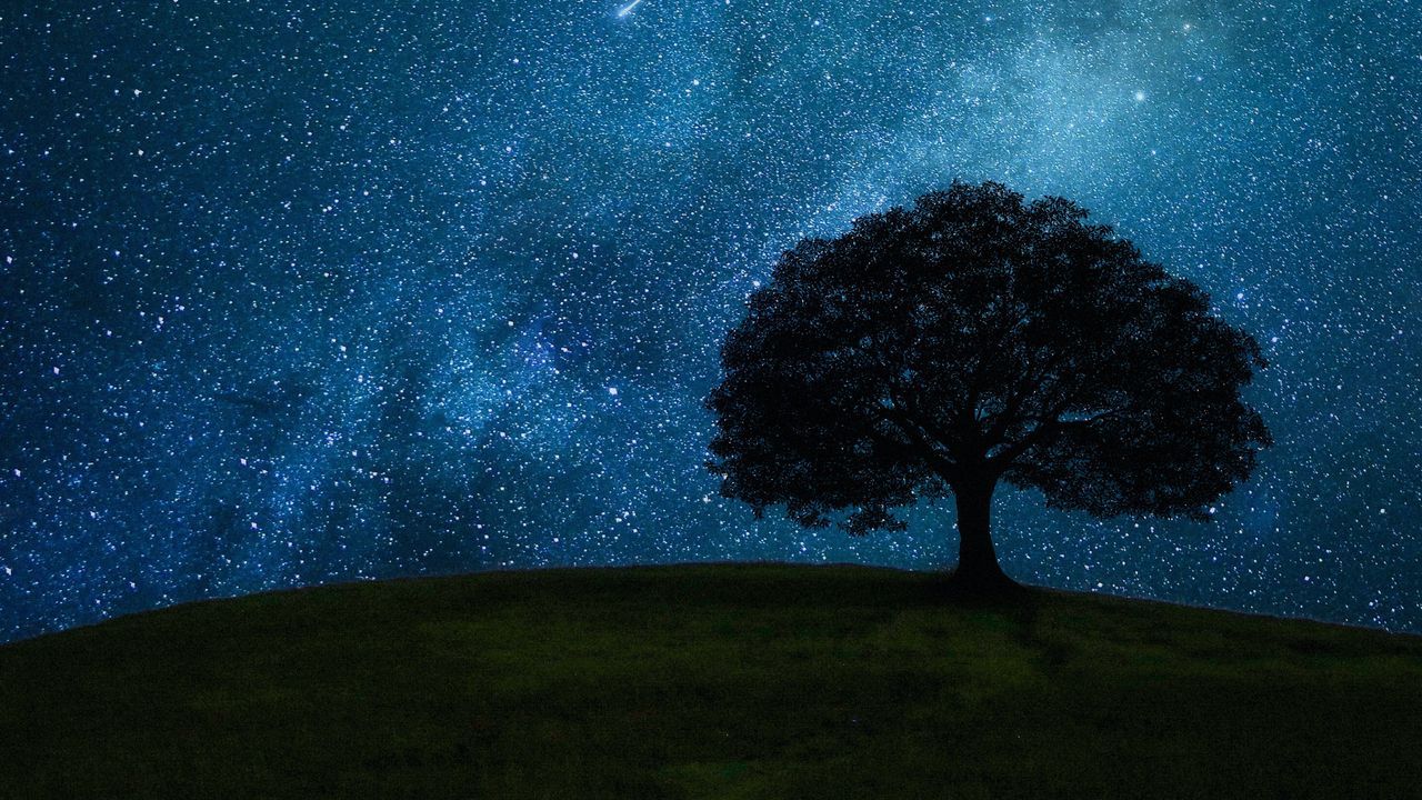 1280x720 Wallpaper tree, hill, starry sky, stars, night, dark hd, picture, image