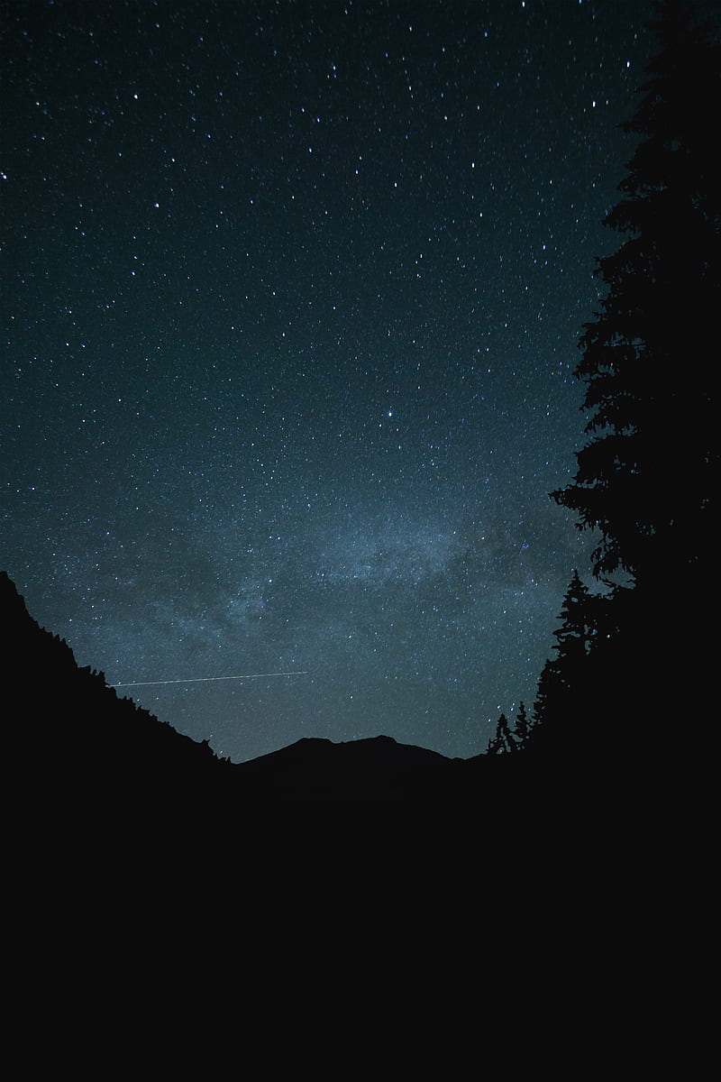 800x1200 Hill, night, starry sky, stars, silhouette, HD phone wallpaper