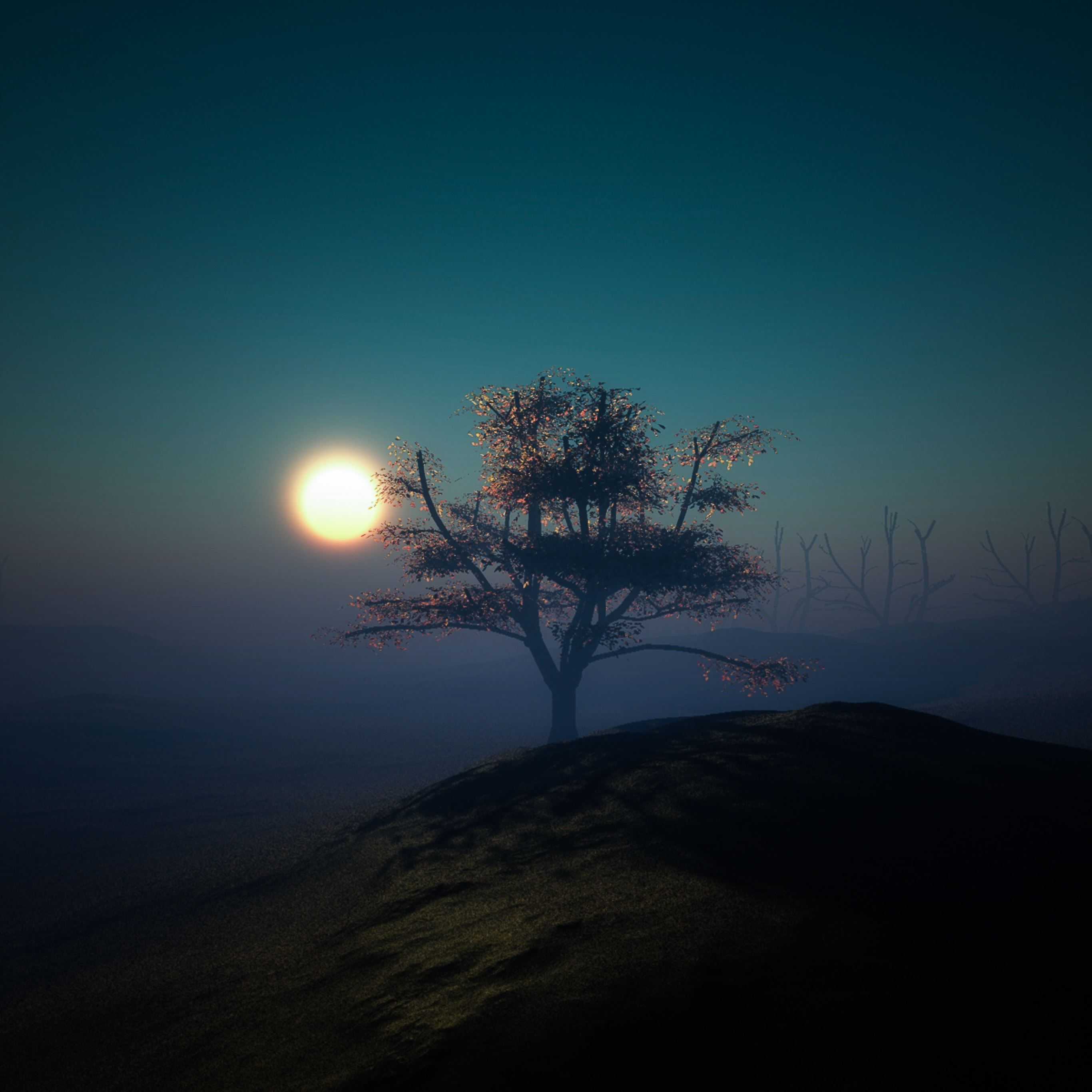 2732x2732 Tree sunset night lights hill iPad Pro Wallpaper Free Download