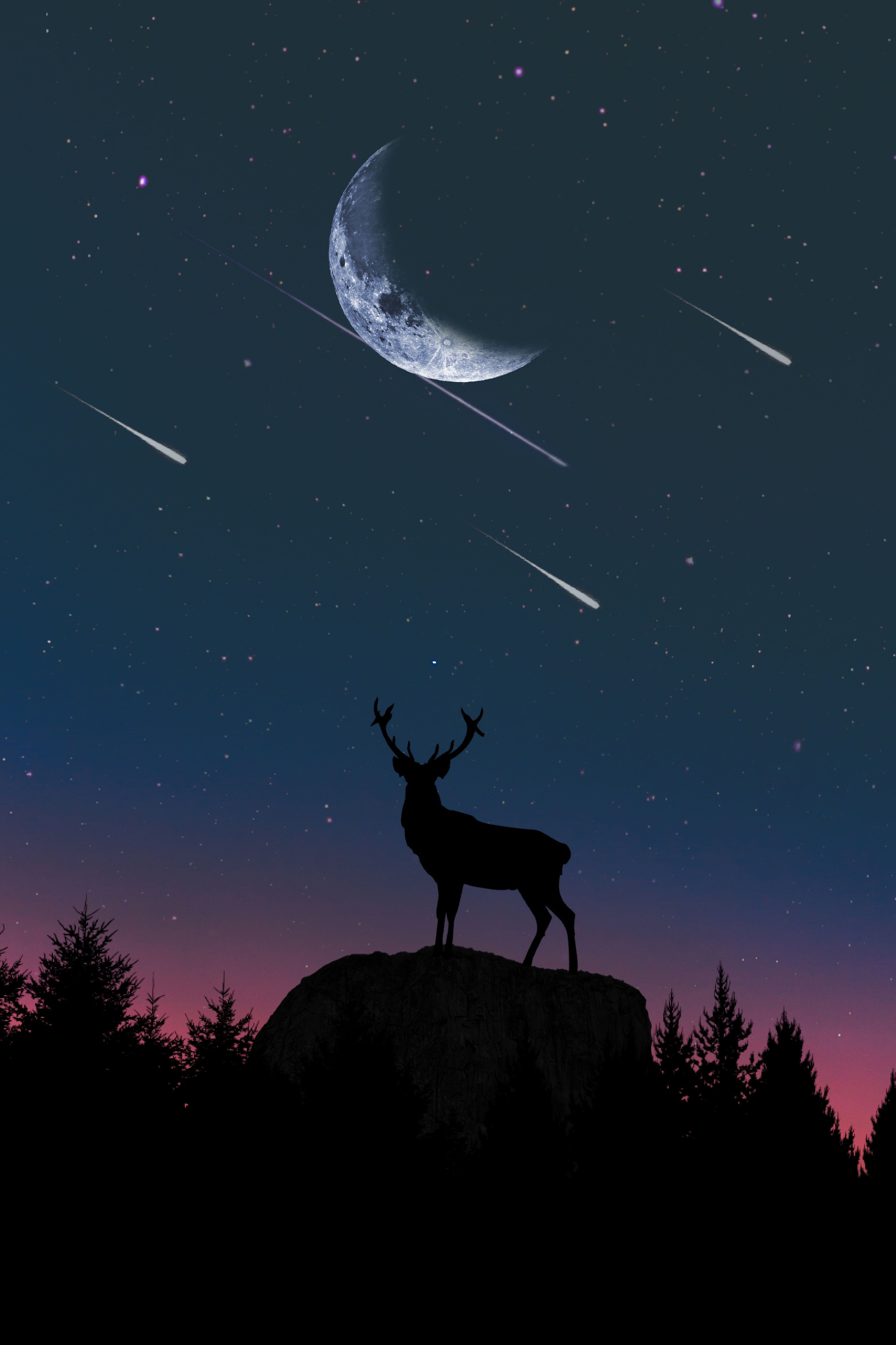 4000x6000 Phone wallpaper: Hill, Deer, Vector, Moon, Silhouette, Twilight, Dusk 93158