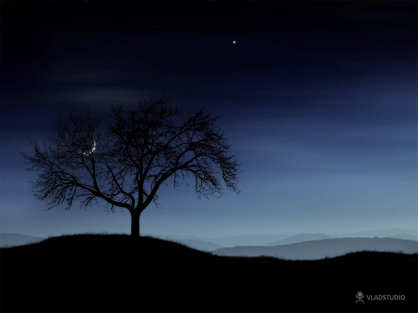 1600x1200 Silhouette photography of tree during nighttime, night, sky, landscape, trees HD wallpaper
