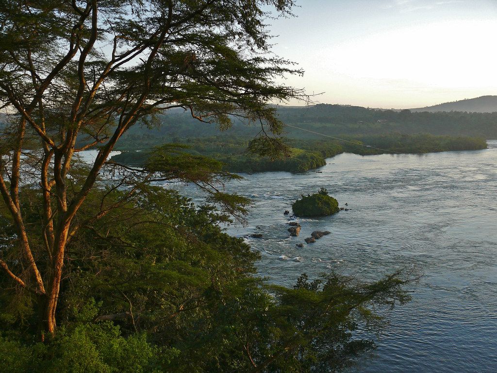 1024x768 Victoria Nile out of Lake Victoria. North of Jinja, UGANDA