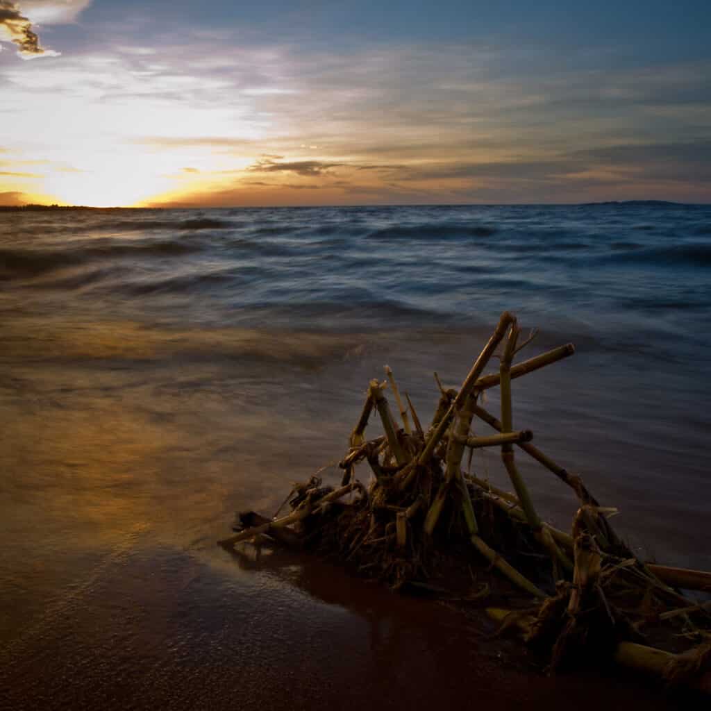 1024x1024 Lake Victoria: Africa's Greatest Lake