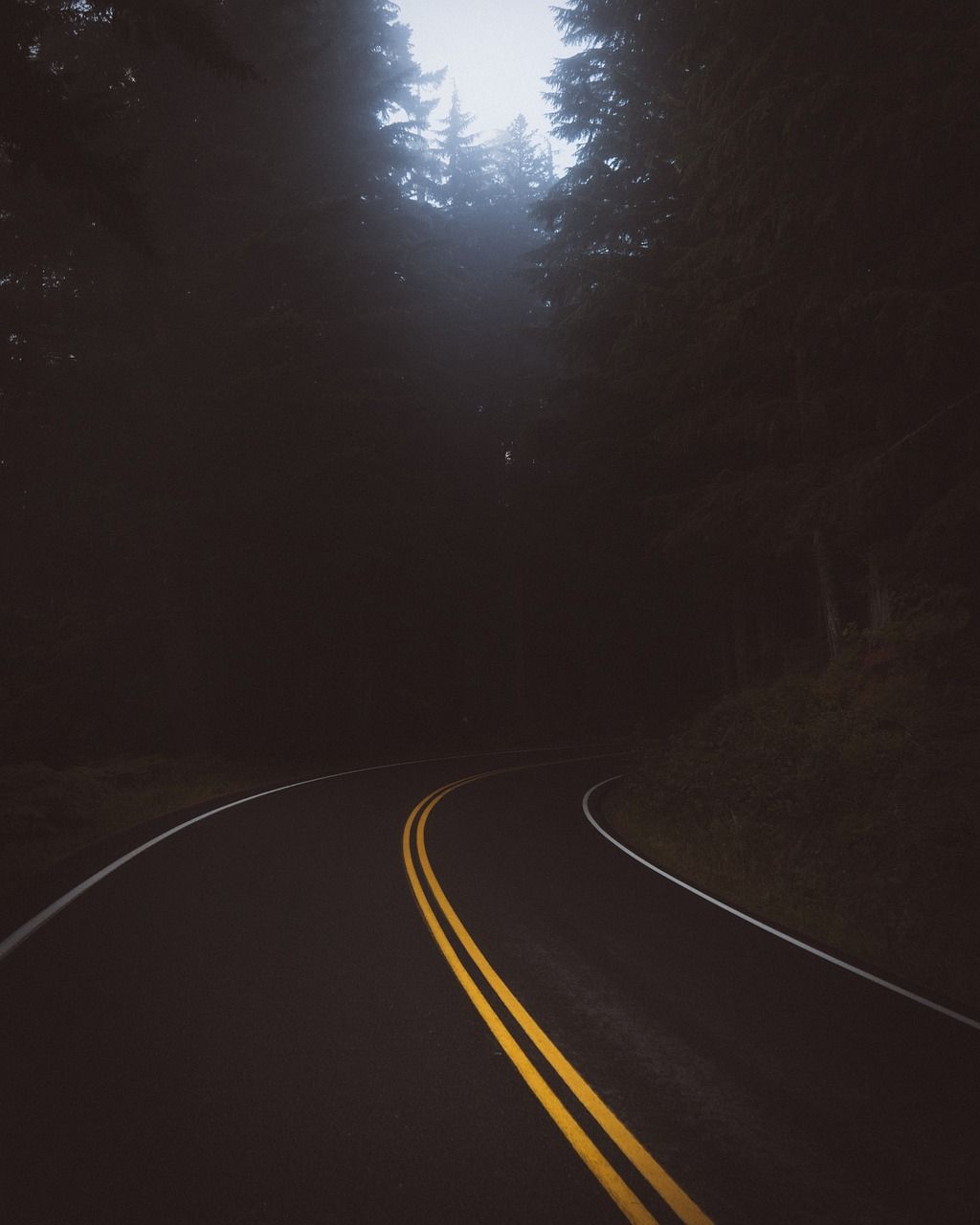 1024x1280 Dark, road, travel, trees, plant