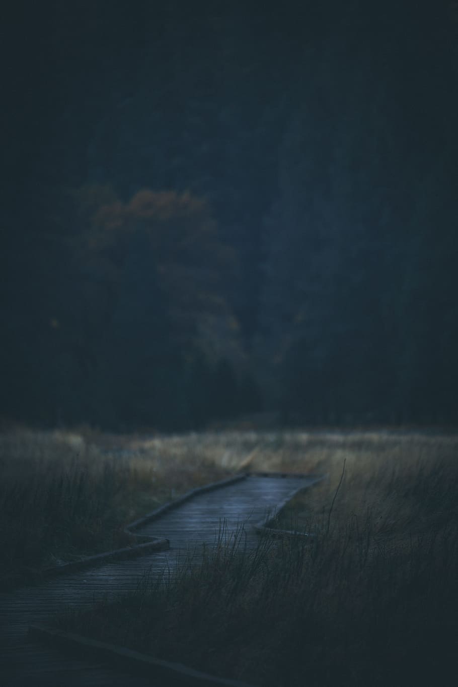 910x1363 HD wallpaper: night, star, sky, wanderlust, explore, travel, adventure, moody