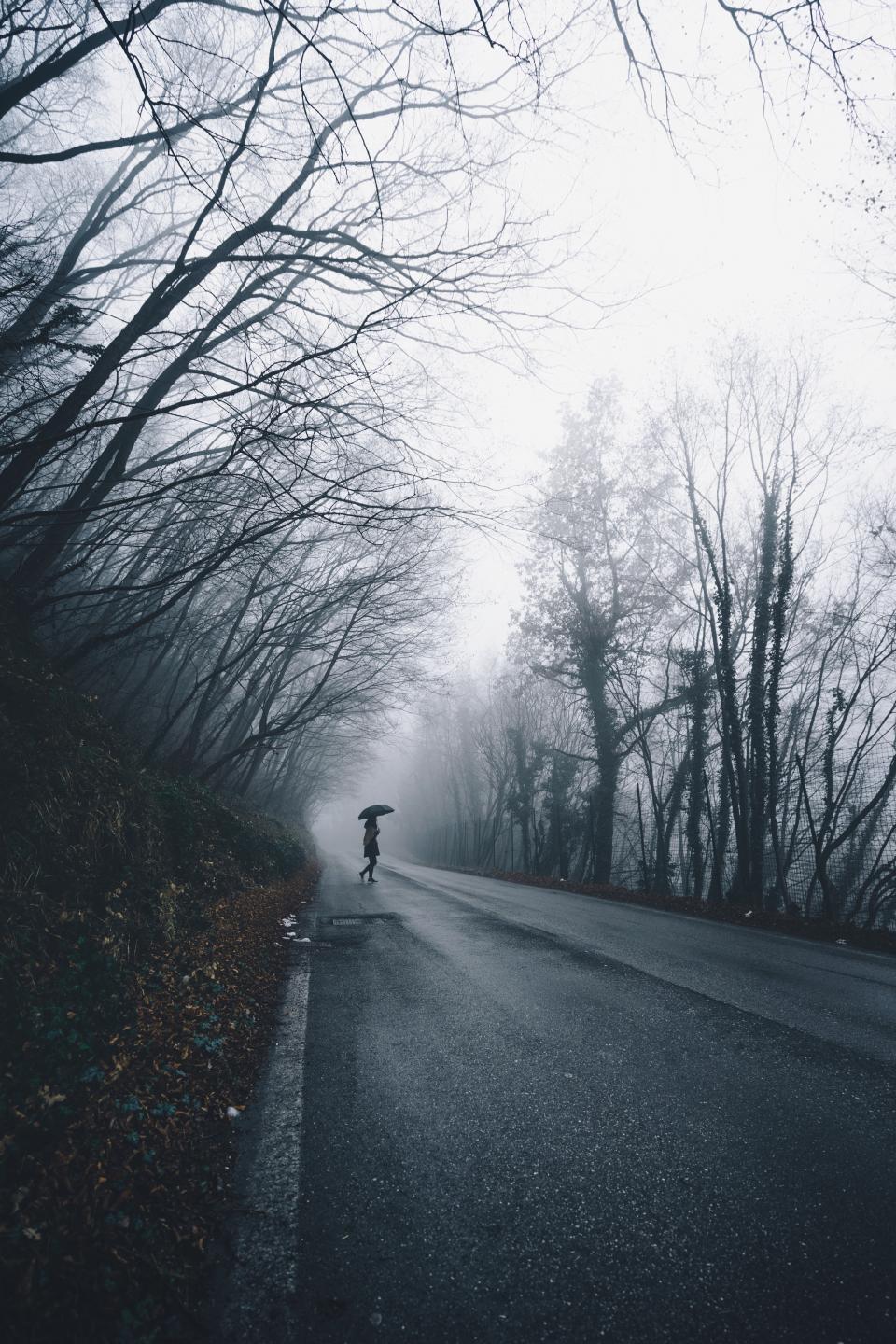 960x1440 people, woman, umbrella, rain, alone, road, travel, adventure, woods, forest, nature, trees, dark, fog, cold, weather