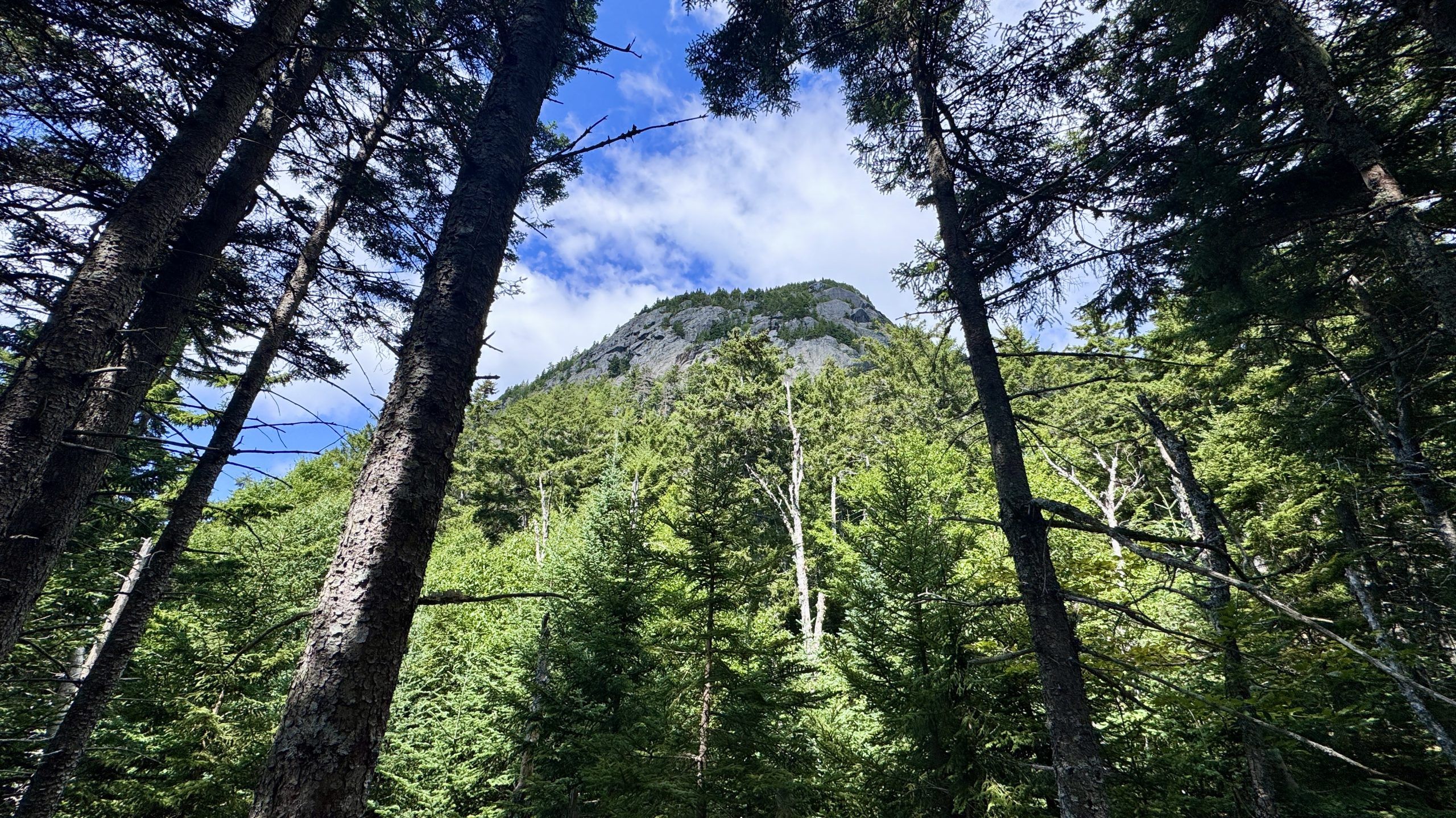 2560x1440 The Beautiful Bigelow Peaks
