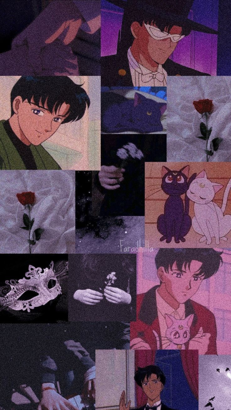 736x1307 Mamoru Chiba aka Tuxedo Mask lockscreen
