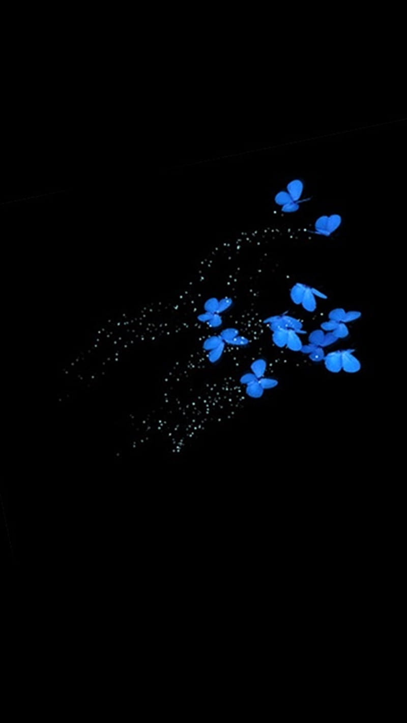 800x1422 HD black and blue wallpaper