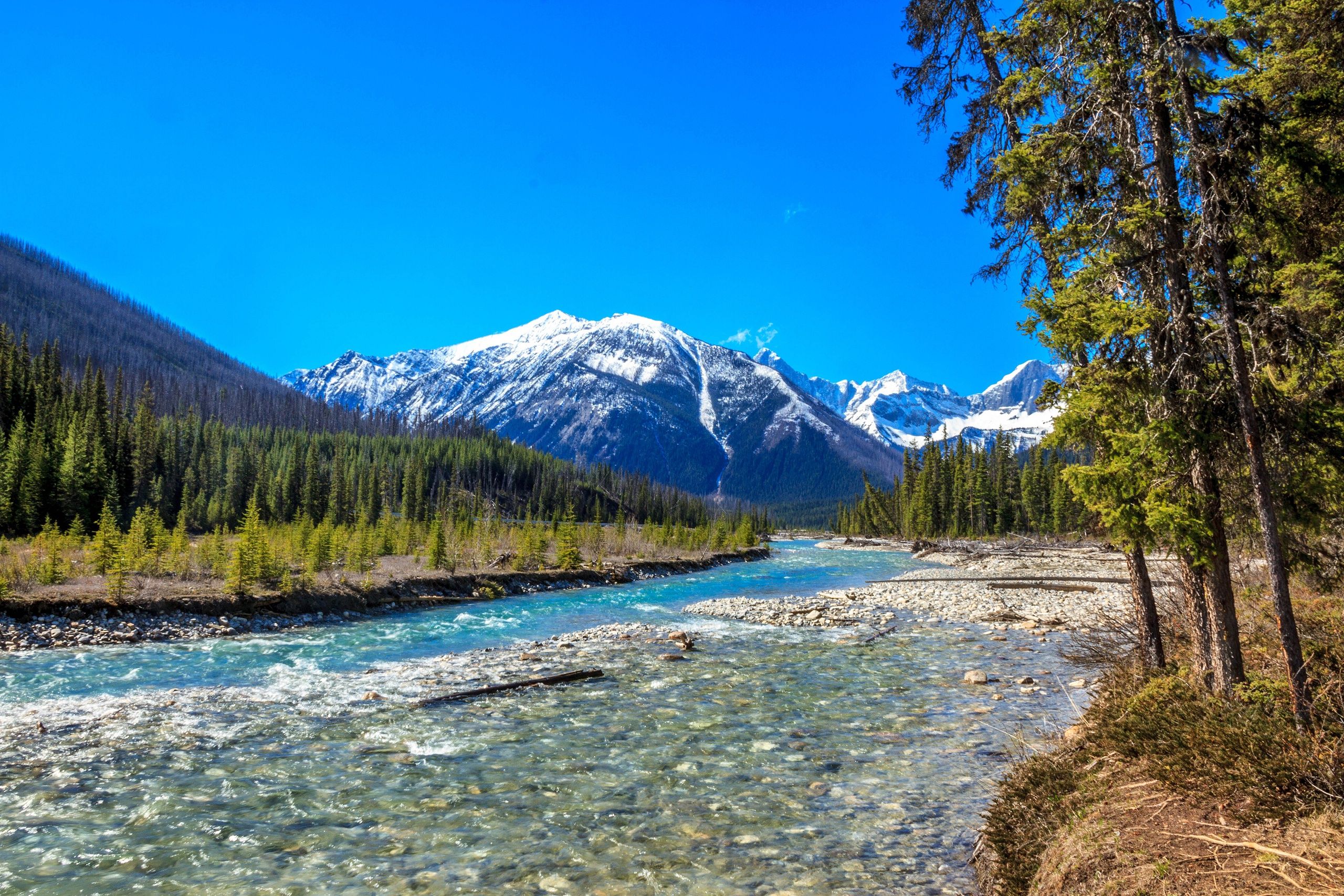 2560x1707 Download Kootenay National Park Canada Mountain Forest Nature River HD Wallpaperx1707