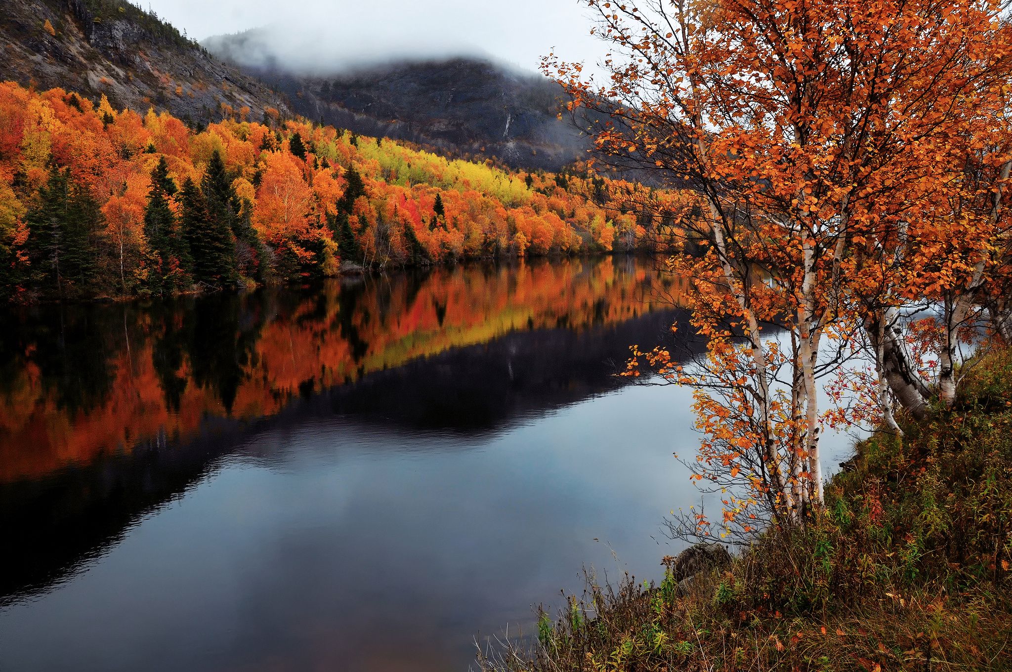 2048x1360 canada, Autumn, River Wallpaper HD / Desktop and Mobile Background