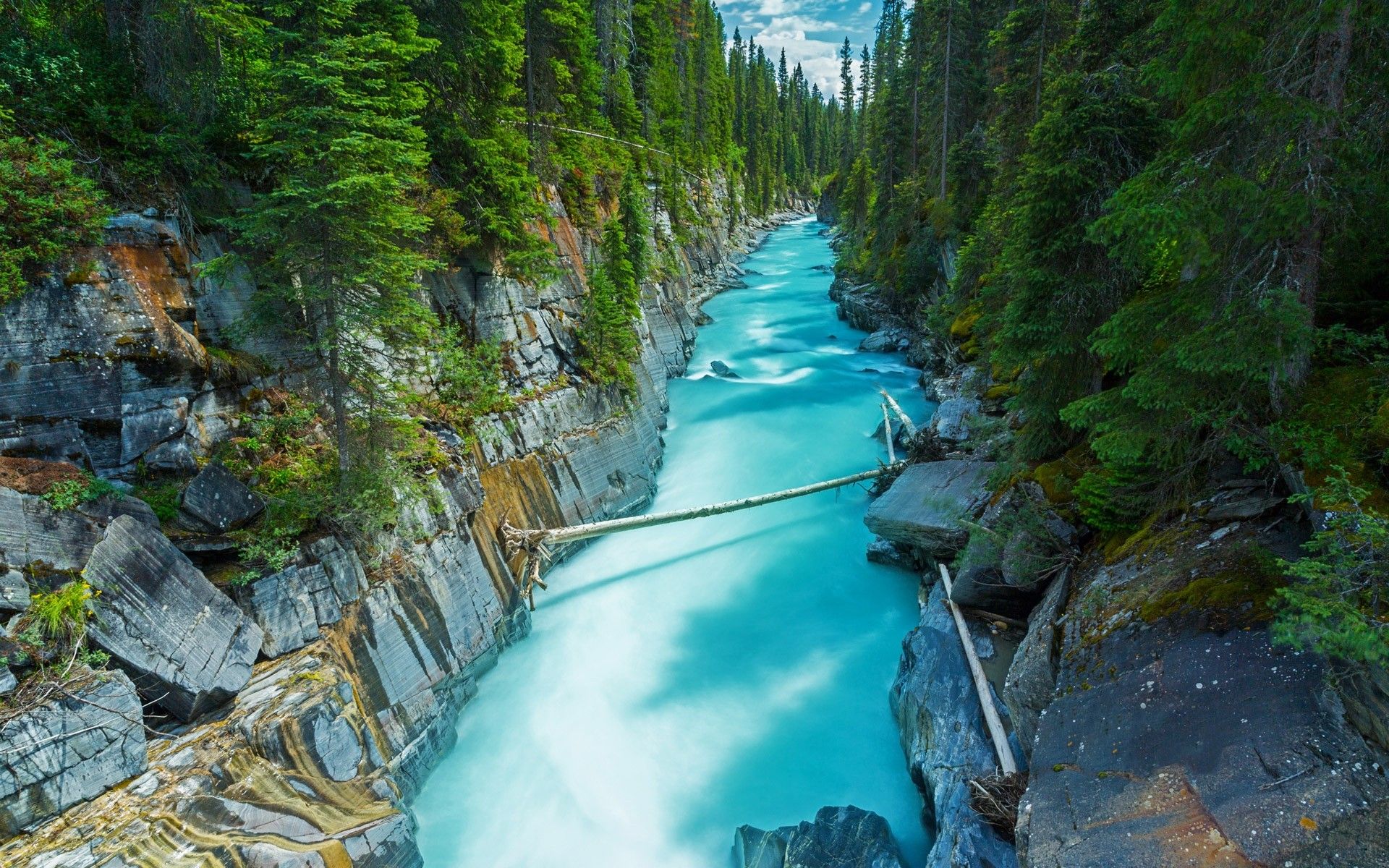 1920x1200 Yoho National Park: Serene Forest River in Canada HD Wallpaperx1200