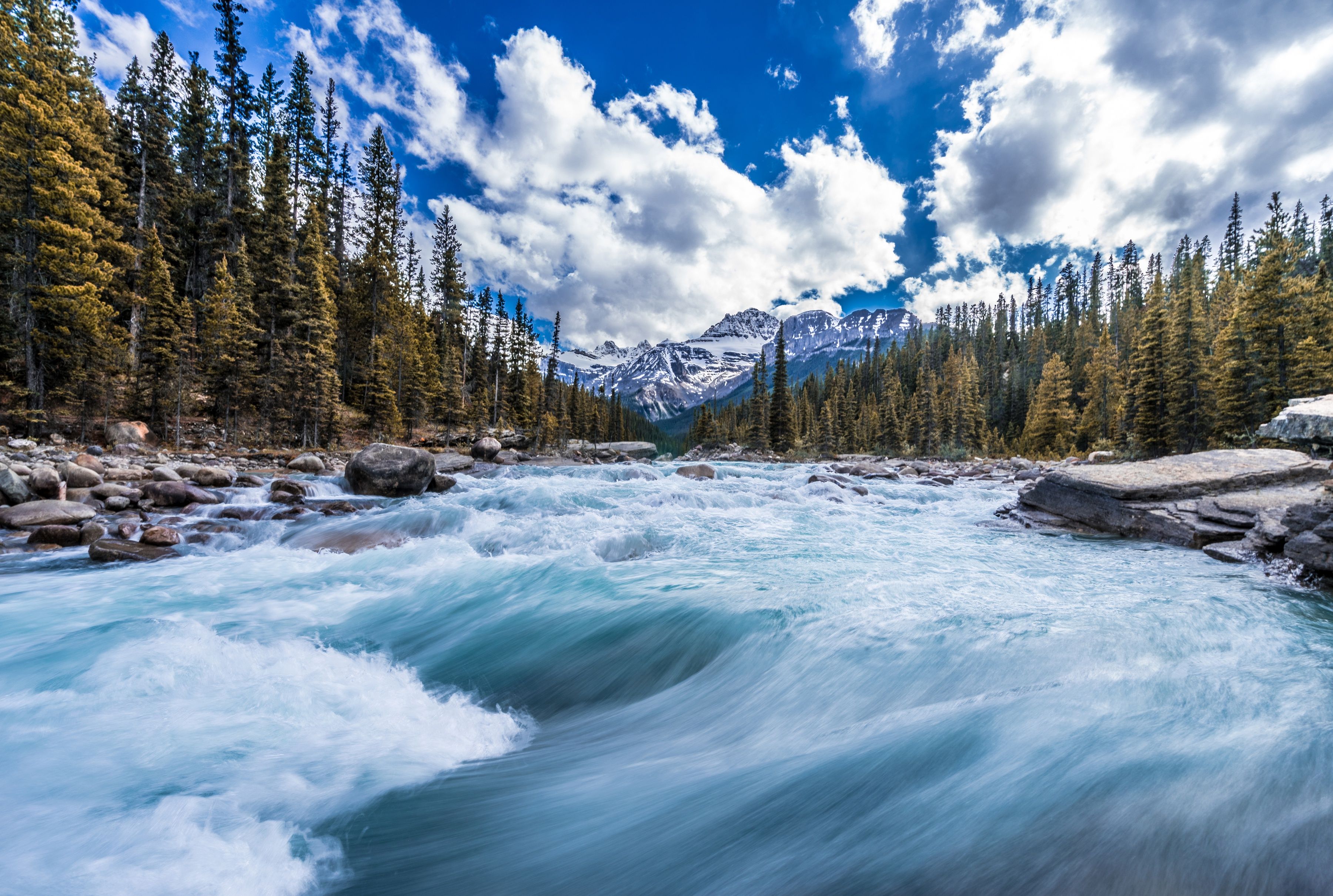 3600x2421 Wallpaper forest, river, Canada, stream, Canada, trees, Canadian Rockies, mountains for mobile and desktop, section пейзажи, resolution 3600x2421