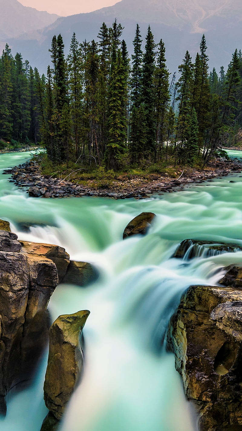 800x1422 Jasper National Park, jasper national park, canada, forest, river, earth, waterfall, HD phone wallpaper