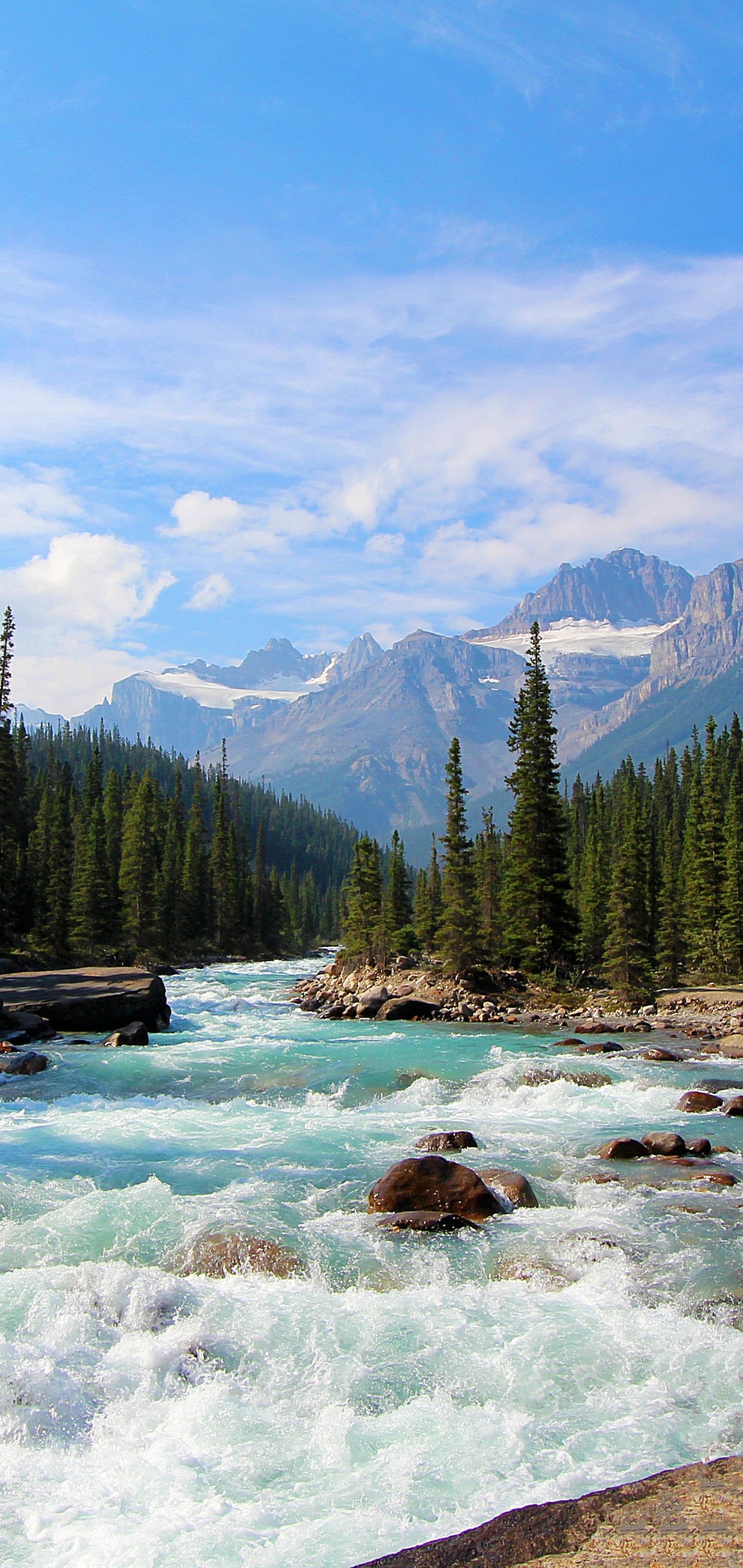 1440x3040 Phone wallpaper: Canada, Banff National Park, Landscape, Earth, River, Forest 1363474