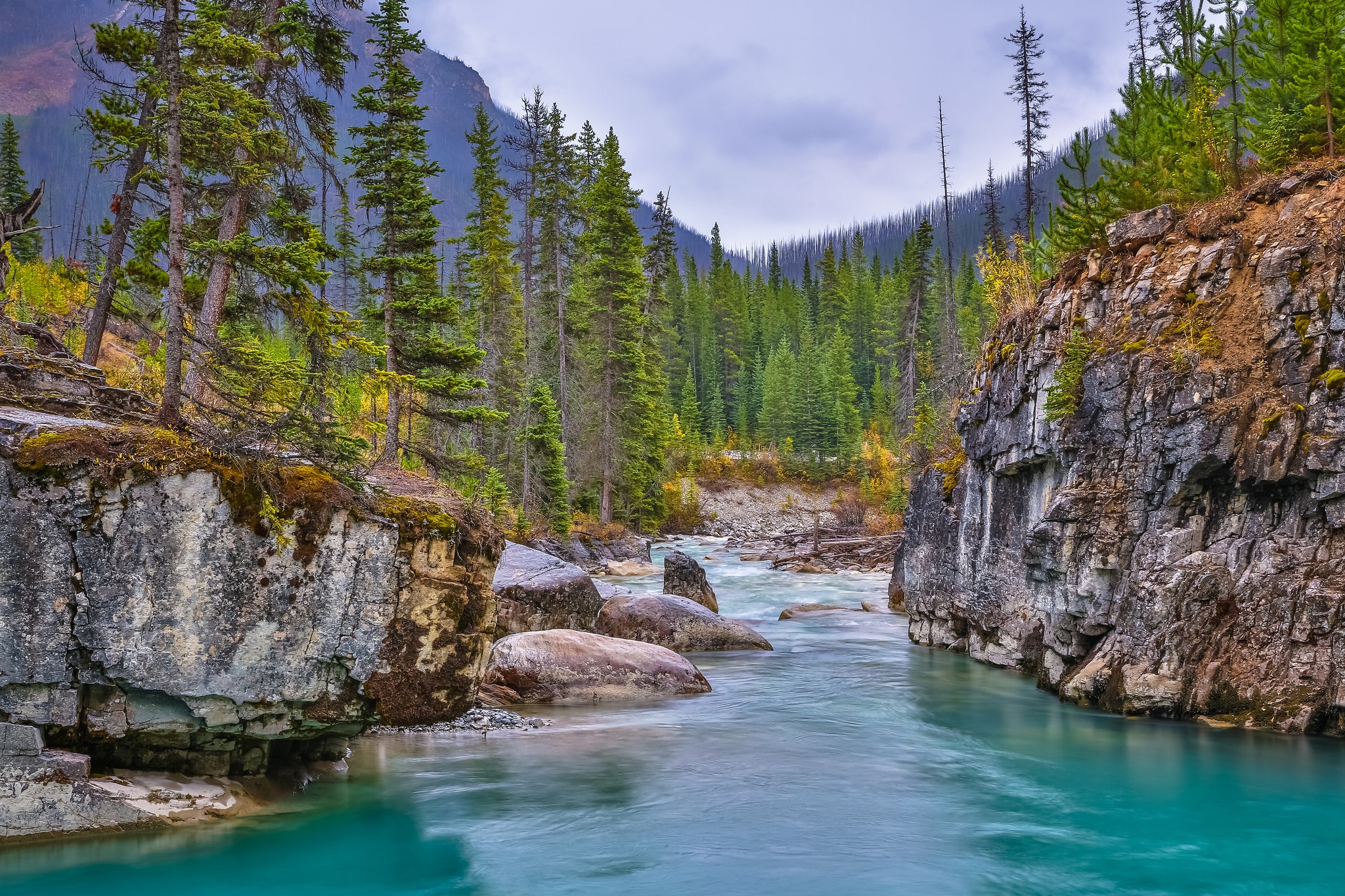 2048x1365 Wallpaper forest, trees, river, rocks, Canada, canyon, Canada, British Columbia for mobile and desktop, section пейзажи, resolution 2048x1365