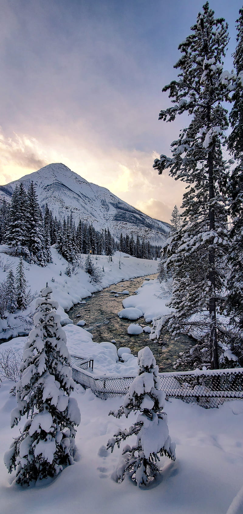800x1688 Canadian Rockies, alberta, canada, colorful, landscape, mountain, river, snow, HD phone wallpaper