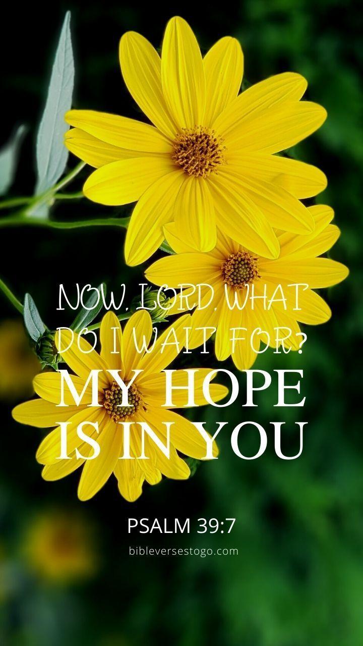 Hopeful Wallpapers - Top Free Hopeful Backgrounds - WallpaperAccess