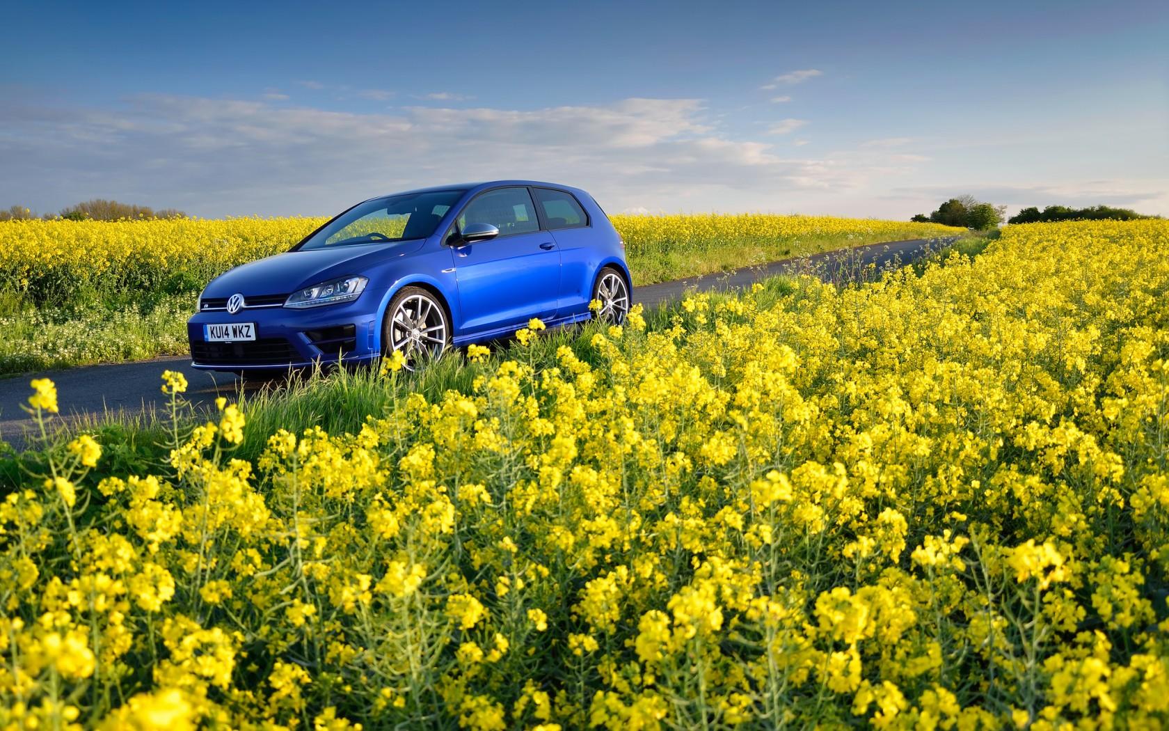 1680x1050 volkswagen, golf r, mk7 1440P Resolution Wallpaper, HD Cars 4K Wallpaper, Image, Photo and Background