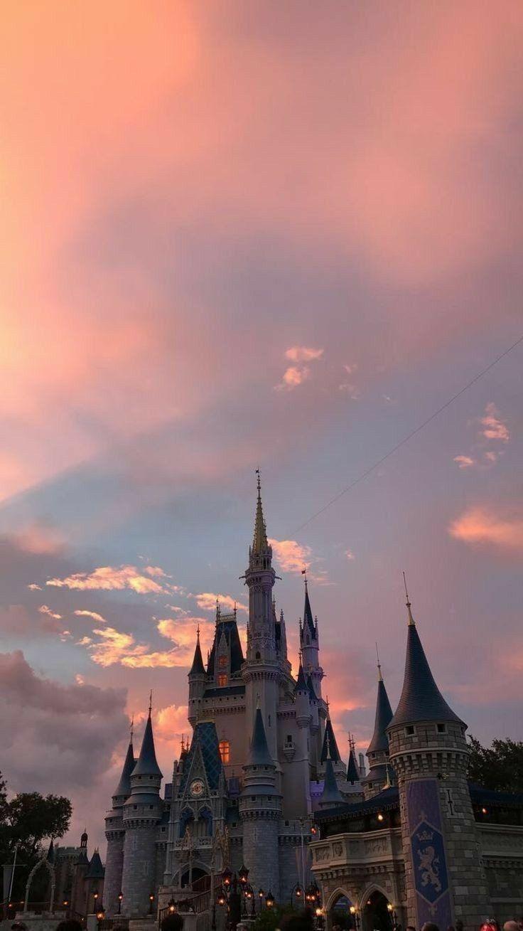 736x1309 WALLPAPER. Sky aesthetic, Sunset wallpaper, Aesthetic picture