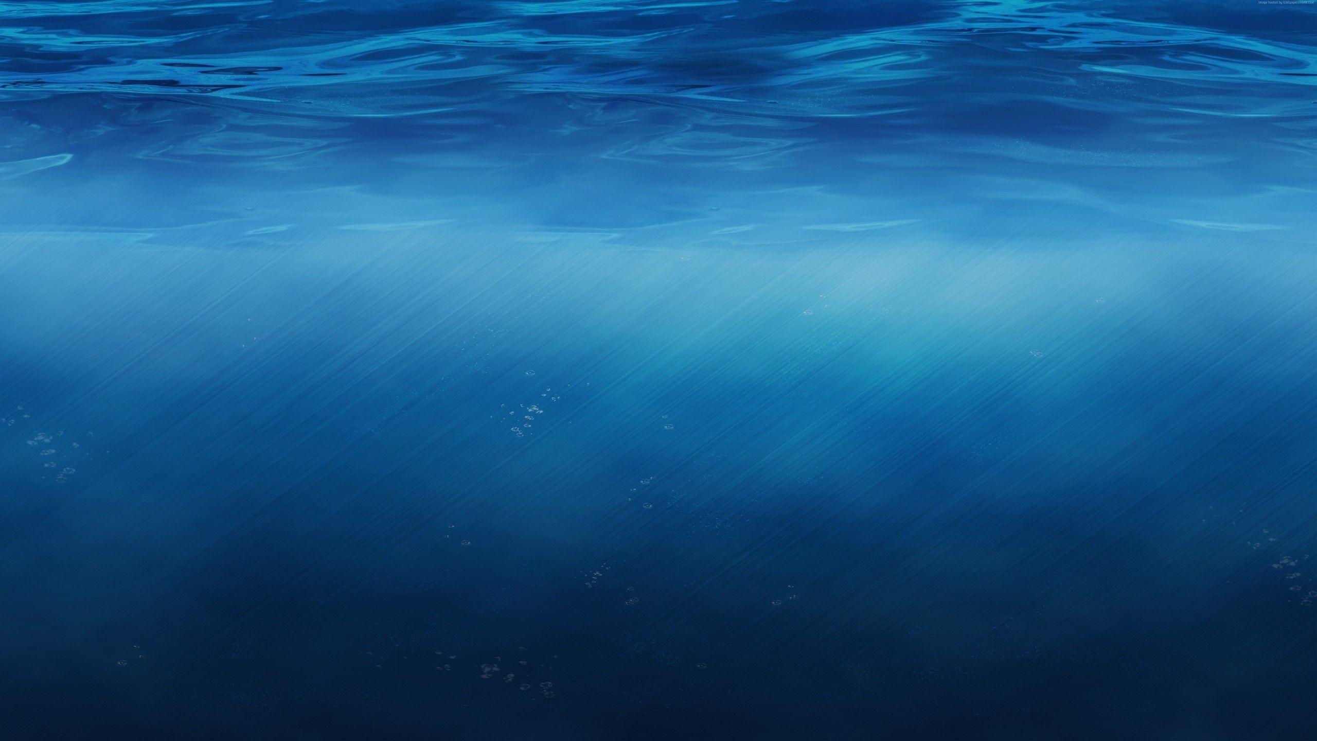 2560x1440 Under Water Wallpaper