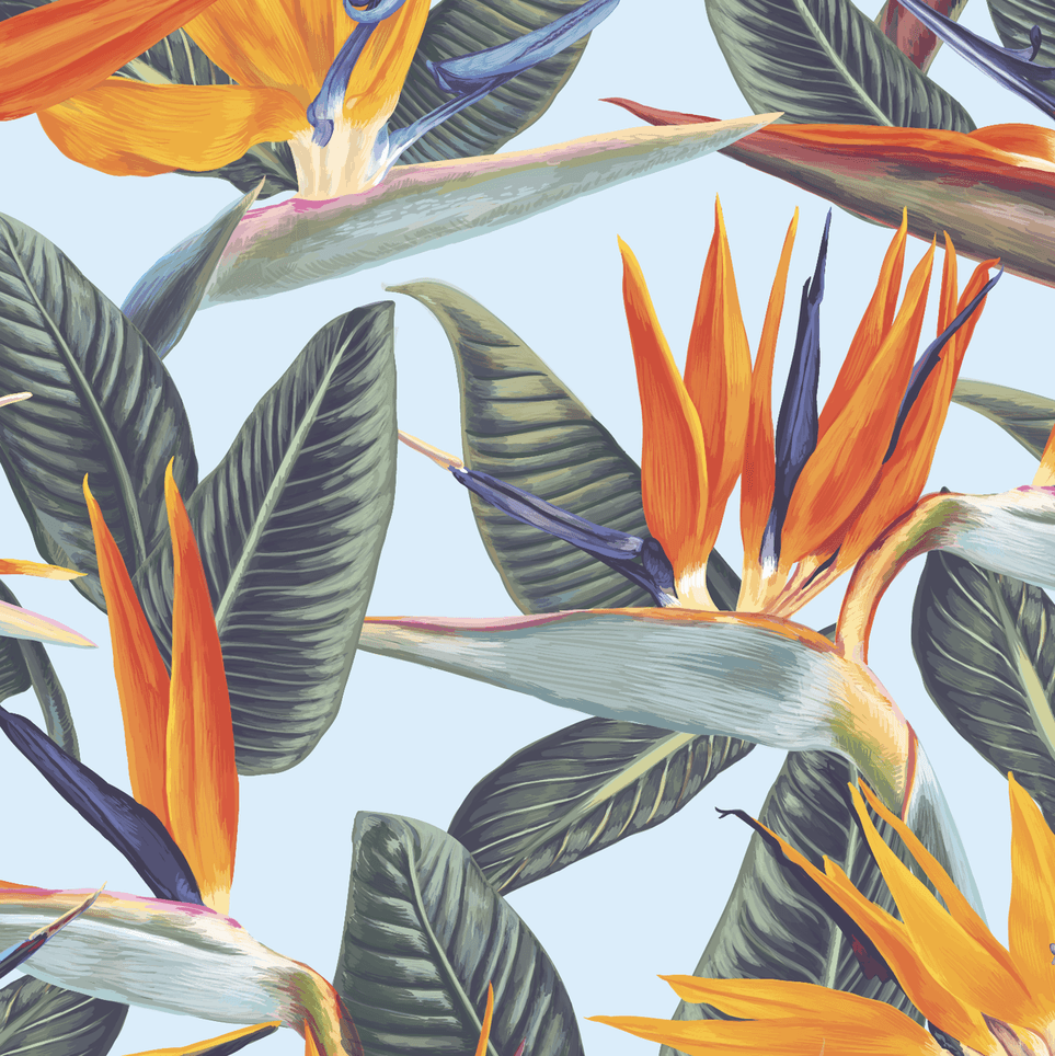 963x964 Exotic Strelitzia Peel And Stick Wallpaper by The Wallberry in Wallpaper