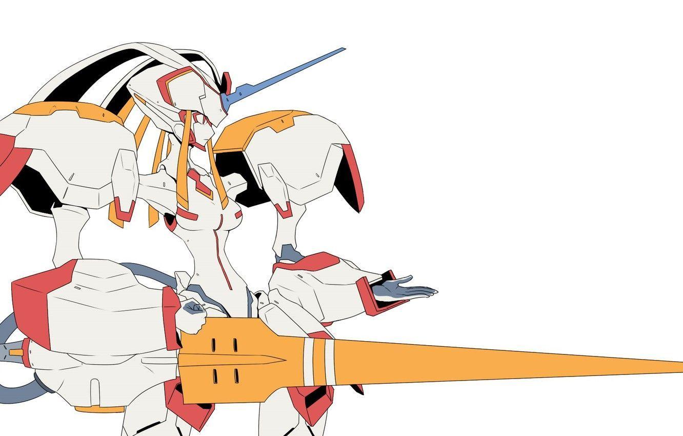 1332x850 Strelitzia Wallpaper