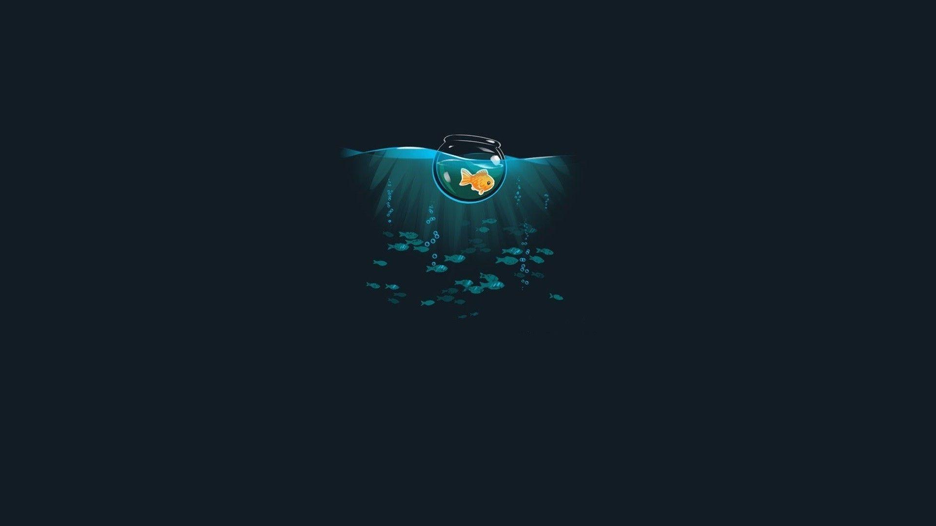 1920x1080 Humor Wallpaper