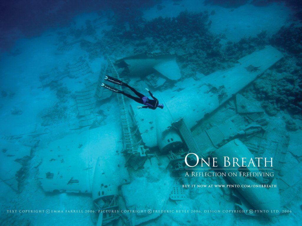 1024x768 Freediving Wallpaper