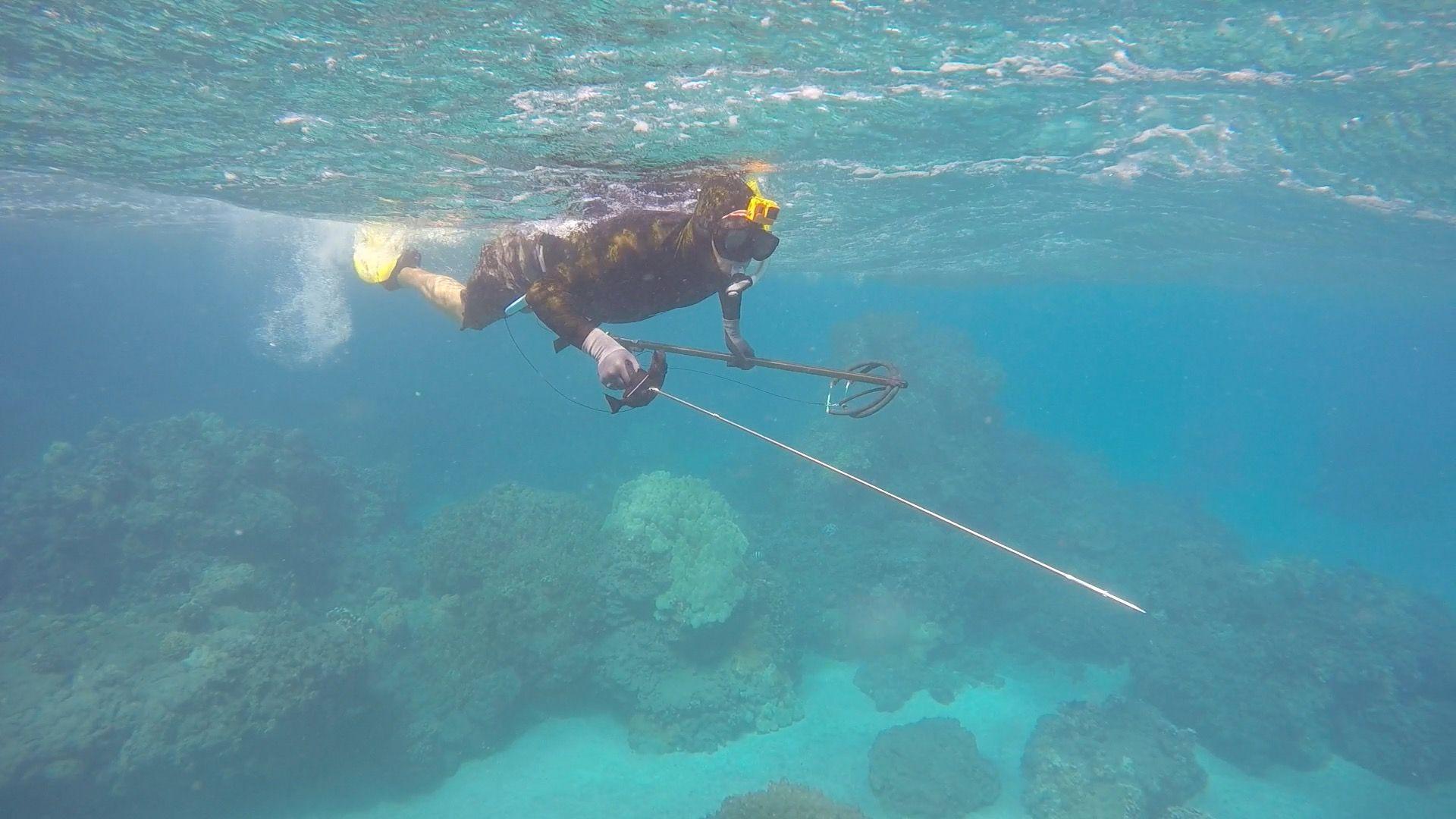 1920x1080 Rudy Spearfishing Fishing On The Beach Wallpaper & Background Download