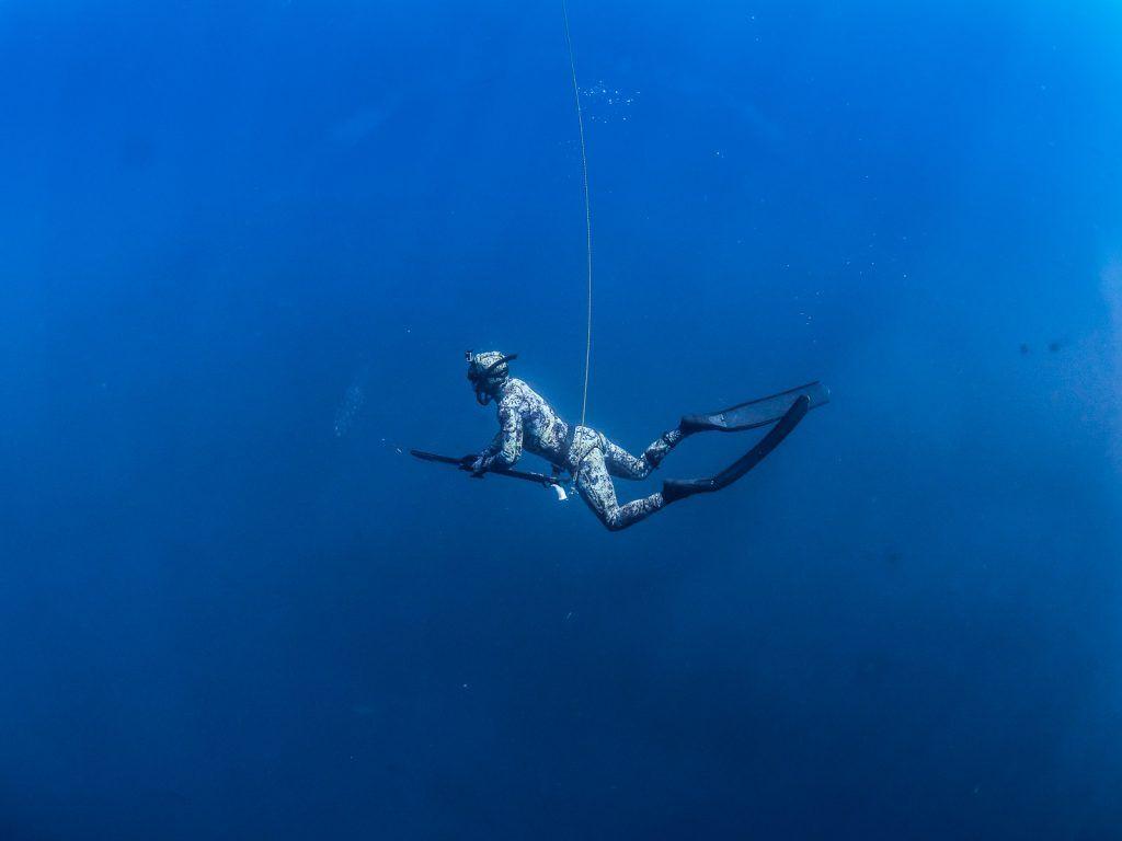 Spearfishing Wallpapers - Top Free Spearfishing Backgrounds ...